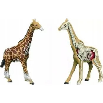 Figurka Figurka žirafy, divokého zvířete, anatomický Model , sestavený Model