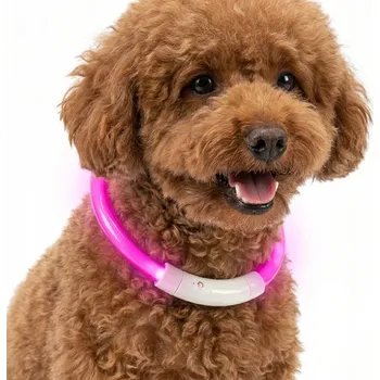 Obojek pro psa Svítící obojek pro mazlíčky, nabíjecí, nastavitelný, 35cm, růžová