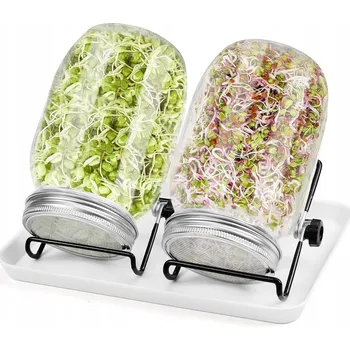 Obraz KIEŁKOWNICA SŁOIK 2 Sztuk Słoików pro Klíčení Semen a Mikrozeleniny