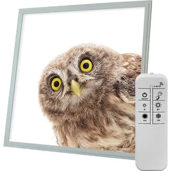 Dekorativní svítidlo Dekorativní LED svítidlo - LED panel - motiv sova - stmívatelný