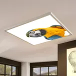 Dětské LED stropní svítidlo - motiv papoušek (Dětský lustr - stropní svítidlo- světlo do dětského pokoje)