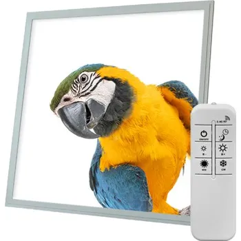 Dekorativní svítidlo Dekorativní LED svítidlo - LED panel - motiv papoušek - stmívatelný