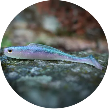 Umělá nástraha RedBass Gumová Nástraha Ripper Kicker Ghost Natur - XL 125 mm