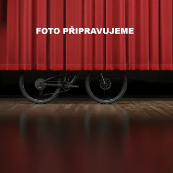 Jízdní kolo Corratec X-Vert TEAM B-LTD (šedá zelená) 2026 Průměr kol: 29", Výška rámu: (23" = 57 cm), Velikost rámu: XXL