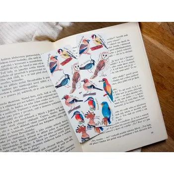 Záložka ePiPí Záložka - Ptáci duhoví