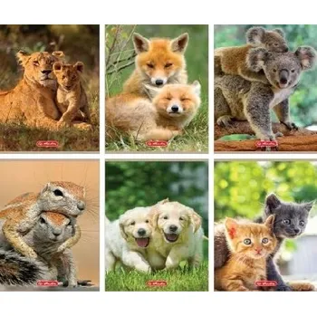 Sešit Sešit A5 s linkami Herlitz, 32 listů