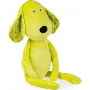 Obraz Pejsek Mazlík limetka 58 cm