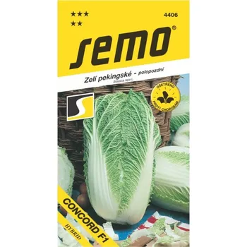 Semeno Zelí pekingské Concord F1