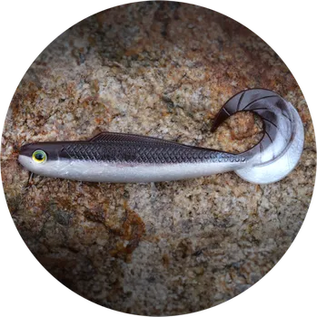 Umělá nástraha RedBass Gumová Nástraha Twister Kixter Brown/Silver - L 100 mm UV