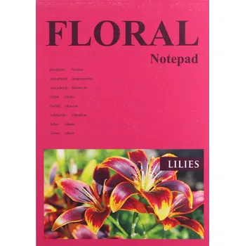 Blok Notes A5 Fresh vícebarevný