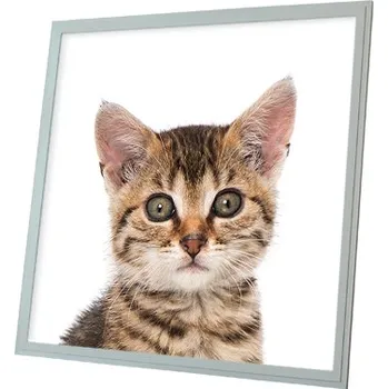 Dekorativní svítidlo Dekorativní LED svítidlo - LED panel - motiv kotě