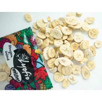 Lyofio Ananas plátky 20 g