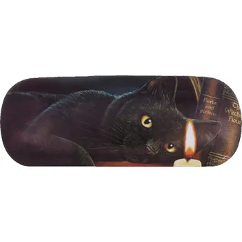 Pouzdro na brýle Pouzdro na brýle s kočkou a knihami - design Lisa Parker