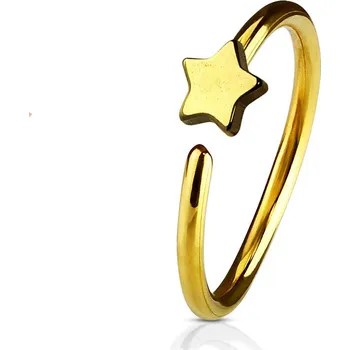 Piercing Šperky4U Piercing do nosu/ucha kruh s hvězdou - N0053-GD