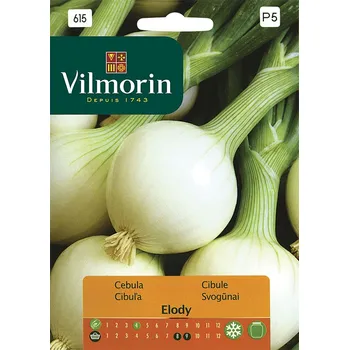 Semeno Cibule Elody 10/2025