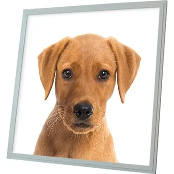 Dekorativní svítidlo Dekorativní LED svítidlo - LED panel - motiv pes 3