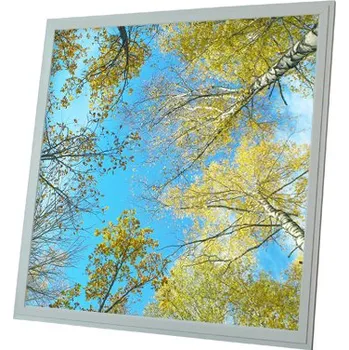 Dekorativní svítidlo Dekorativní LED svítidlo - LED panel - motiv břízy