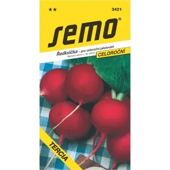 Semeno Ředkvička Tercia