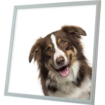 Dekorativní svítidlo Dekorativní LED svítidlo - LED panel - motiv pes 2