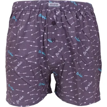 Trenýrky Pánské trenky Andrie s potiskem PS 5951 šedá velikost 3XL