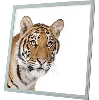 Dekorativní svítidlo Dekorativní LED svítidlo - LED panel - motiv tygr