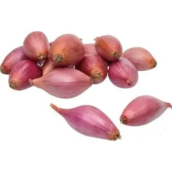 Cibulovina Cibule sazečka růžová Rosanna 7-14 mm 250g