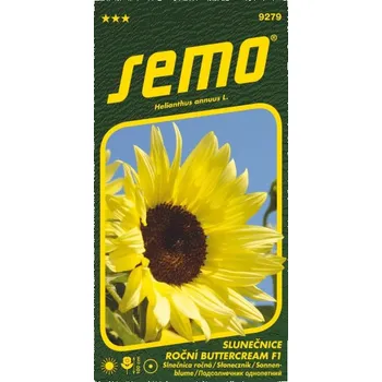 Semeno Slunečnice roční Buttercream F1 8 s
