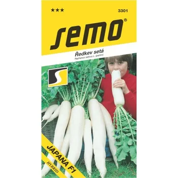 Semeno Ředkev Japana F1