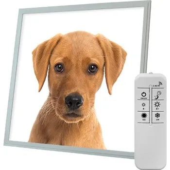 Dekorativní svítidlo Dekorativní LED svítidlo - LED panel - motiv pes 3 - stmívatelný