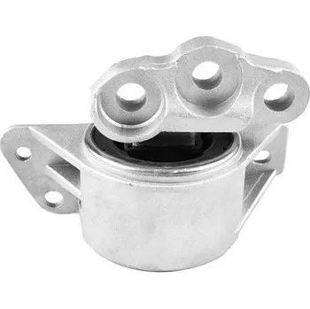 Motor automobilu Zavěšení motoru TEDGUM TED53585