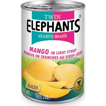 Twin Elephants Mango v sirupu TE 425g