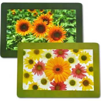 prostírání Plastové prostírání TORO 28x43cm květiny MIX motivů Varianta: CHRYSANTÉMA