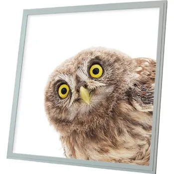 Dekorativní svítidlo Dekorativní LED svítidlo - LED panel - motiv sova