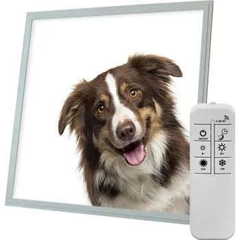 Dekorativní svítidlo Dekorativní LED svítidlo - LED panel - motiv pes 2 - stmívatelný