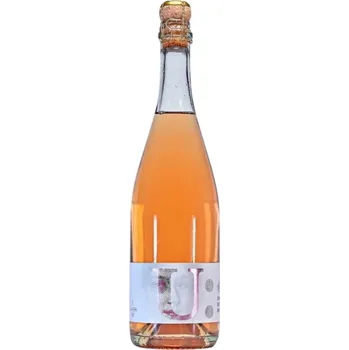 Víno Johann W Třebívlice Sekt Ulrika Pinot Noir Rosé 0,75l 10,5%