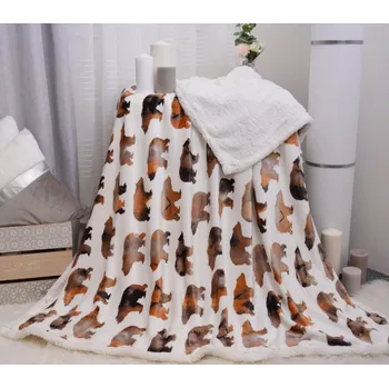 deka Aaryans Deka s beránkem Medvěd 150x200 cm