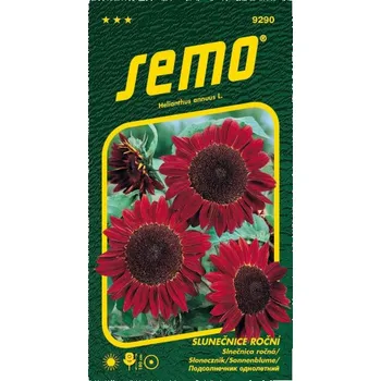 Semeno Slunečnice roční Červená