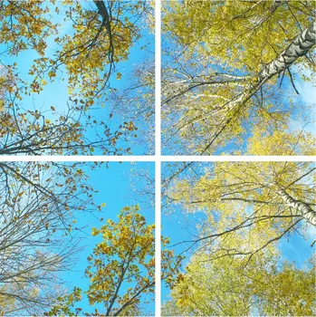 Dekorativní svítidlo Dekorativní LED svítidlo - LED panel - motiv břízy - sada 4 panelů - AKCE