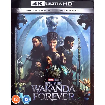 Blu-ray film Black Panther: Wakanda Forever Blu-ray 4K disk