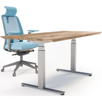 Psací stůl DeskTherapy E4+ EVO BOSCH - elektricky výškově nastavitelný stůl Barva podnože: bílá, Rozměry stolové desky: bez stolové desky, Dekor stolové desky: bez stolové desky 2 motory Bosch - podnož šedá, bílá a černá