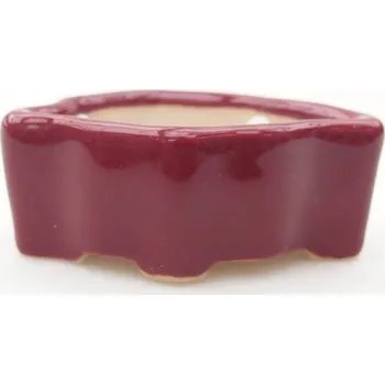 Květináč Mini bonsai miska 5 x 3 x 2 cm vínová