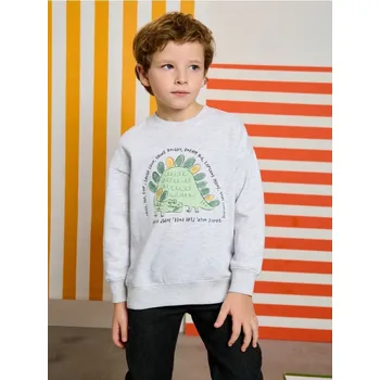 Chlapecká mikina Sinsay - Mikina s kulatým výstřihem s potiskem - šedá - 854DX-09M - 854DX-09M-122