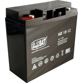 Dětské elektrovozidlo Tomido Gelová baterie AGM pro autíčka na baterii 12V18Ah