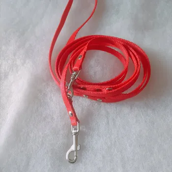 Vodítko pro psa Vodítko pro psa přepínací 10 mm / 250 cm popruh