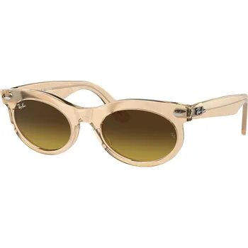 Módní doplněk Ray-Ban Wayfarer Oval Change Collection RB2242 138685