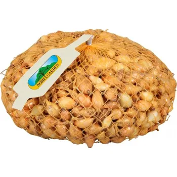 Semeno Nohel Cibule sazečka - Všetana 250 g/8-16mm/žlutá