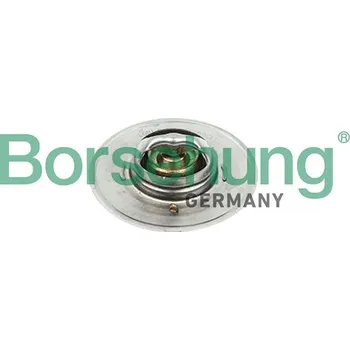 Automobilové těsnění Termostat, chladivo Borsehung B18247