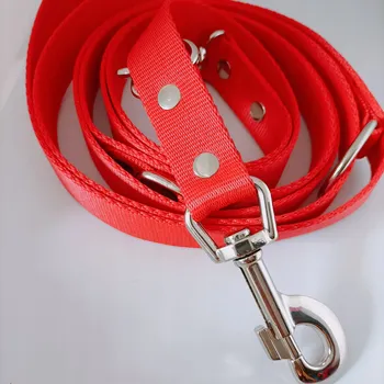 Vodítko pro psa Nastavitelné Vodítko Mar-Zoo , páskové, 2,5 m