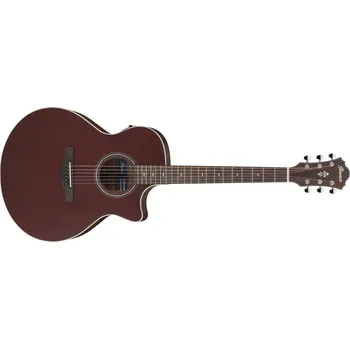 Akustická kytara Ibanez AE100 Burgundy + prodloužená záruka 3 roky