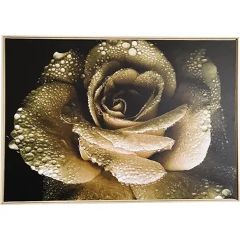 Obraz Obraz v rámu SHADOW 59x84 cm Růže